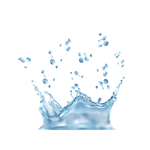 水皇冠