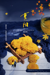 重阳中国风传统节日PS海报素材