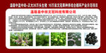 文冠果示范项目
