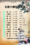 五脏六腑时间排表