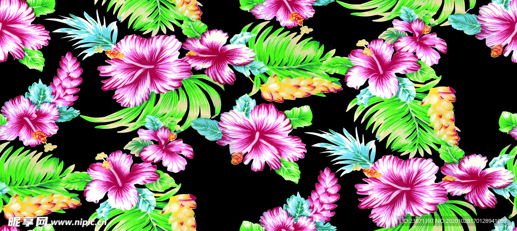 扶桑花