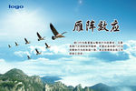 企业文化 雁阵效应