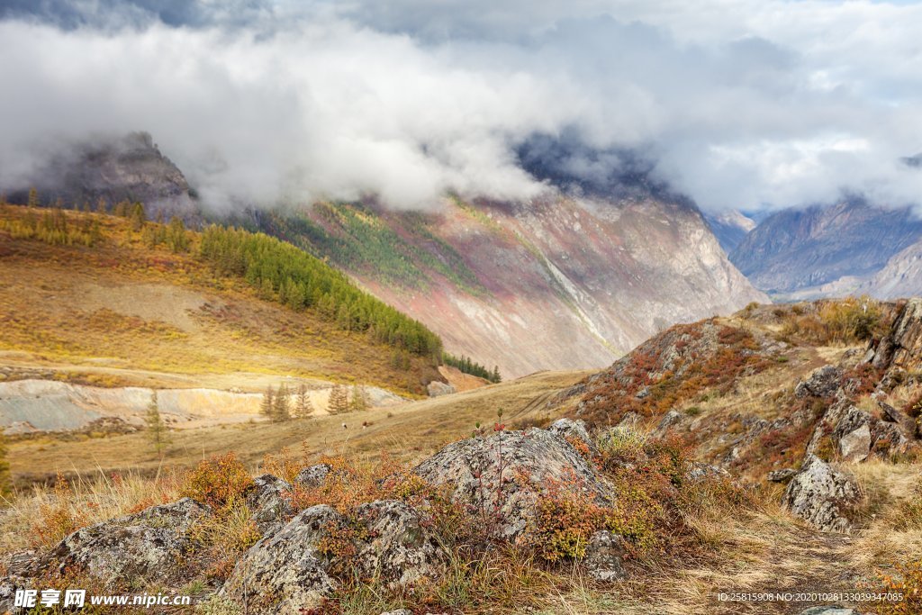 阿尔泰山