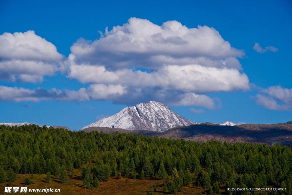 阿尔泰山