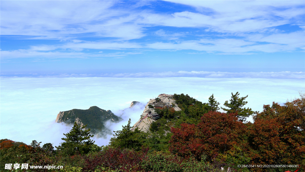 风景