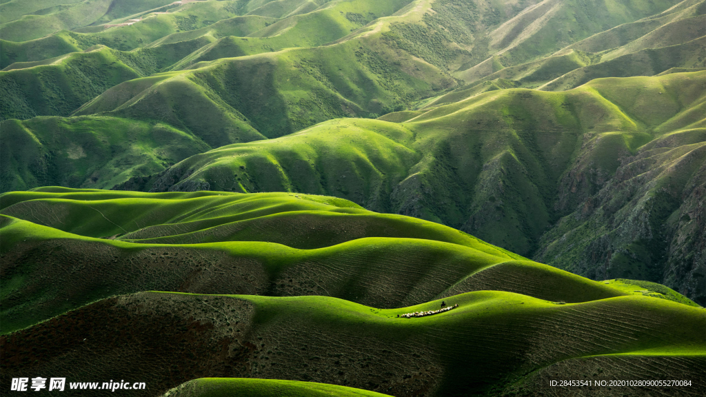 风景