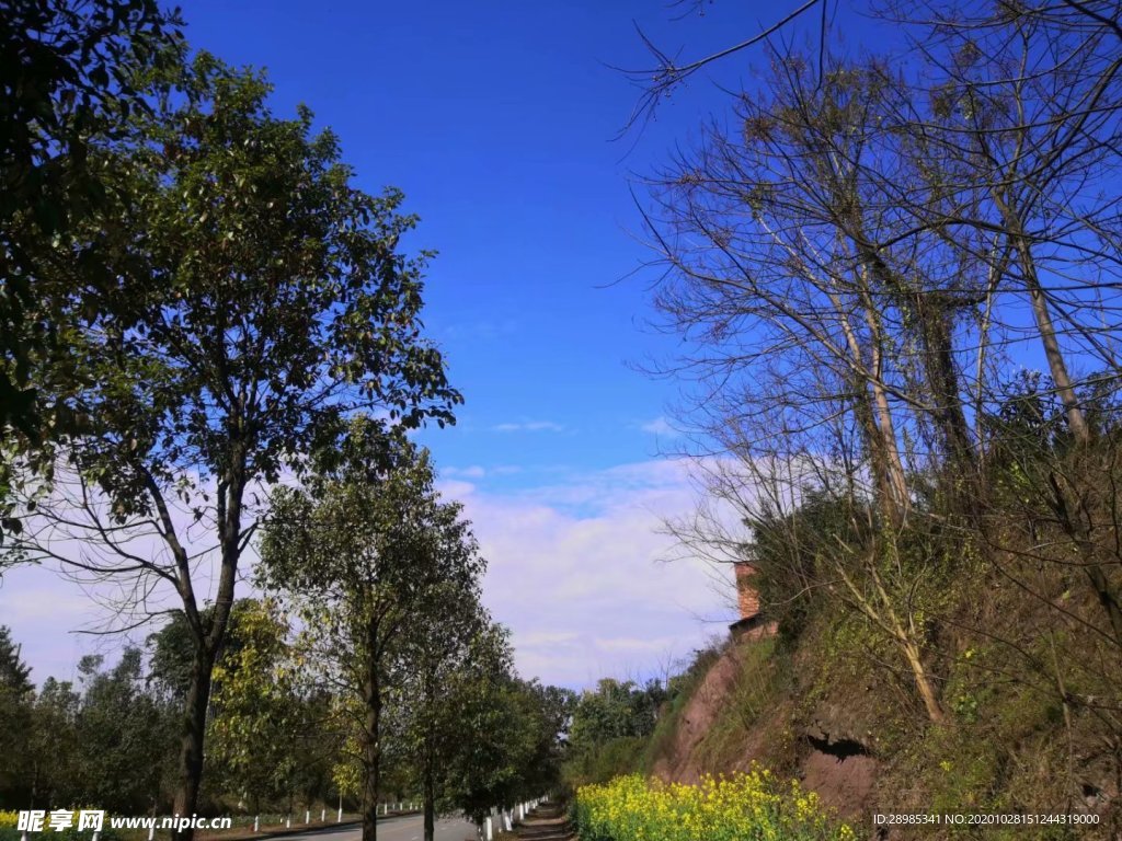 蓝天风景