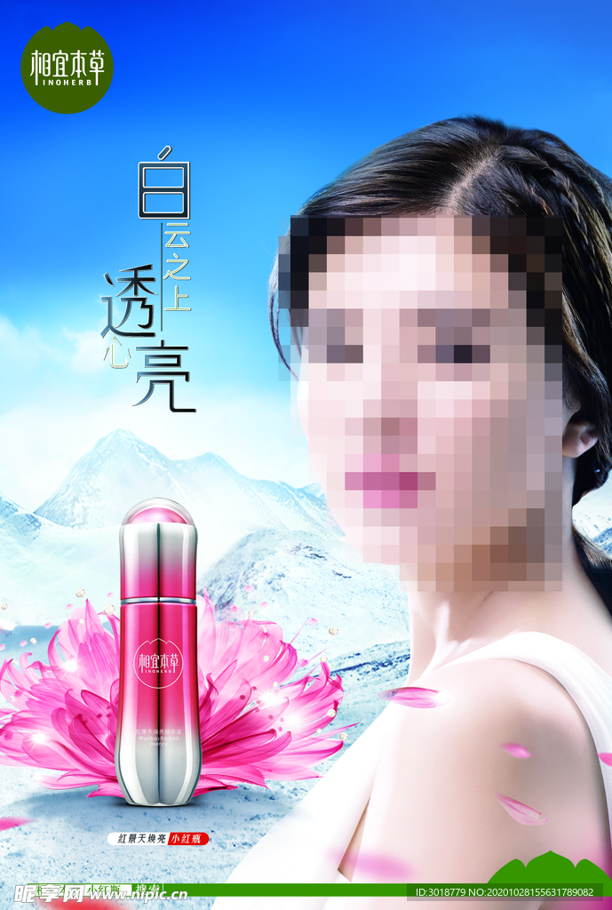 红景天