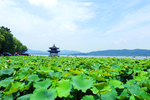 大自然风景摄影