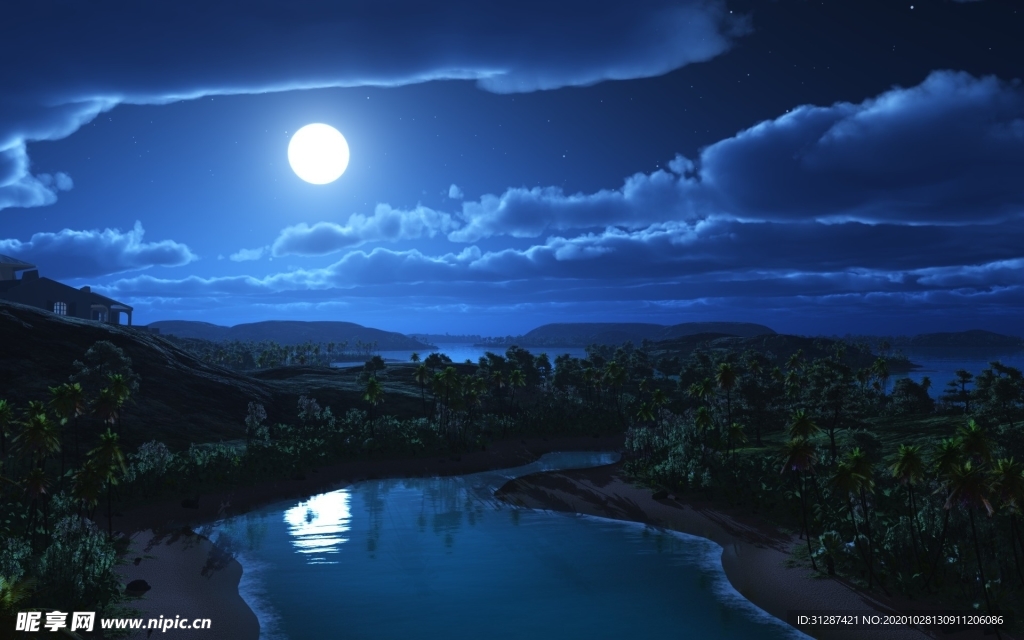 星空 夜晚