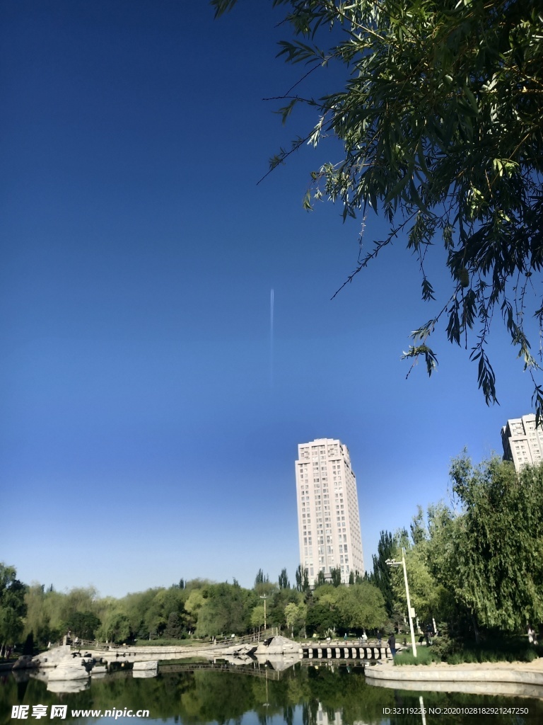 公园风景