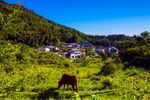 影珠山原风景