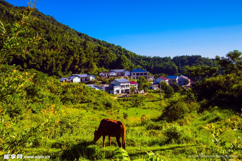 影珠山原风景