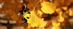 手机壁纸