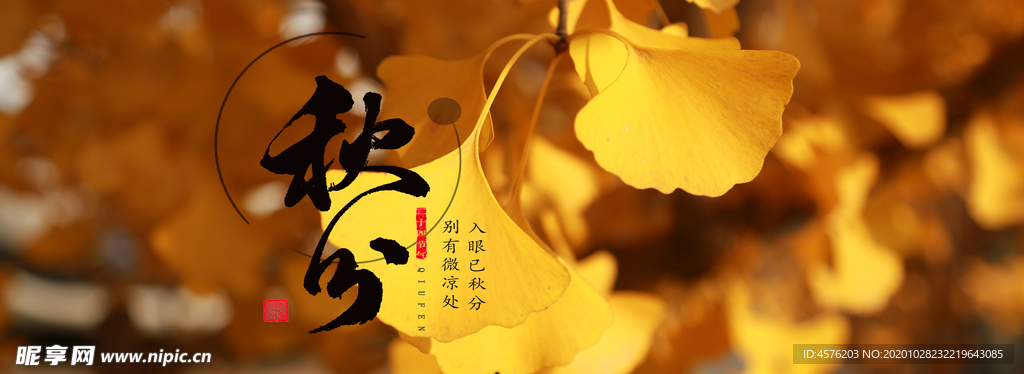 手机壁纸