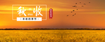 手机壁纸