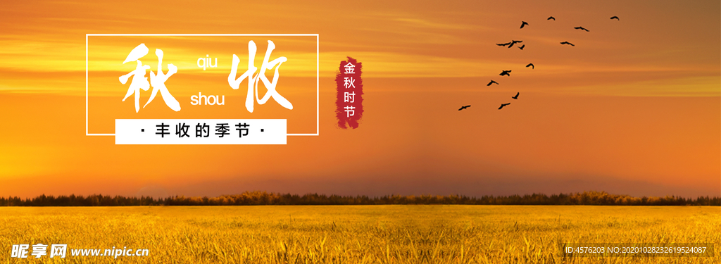 手机壁纸