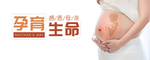 手机壁纸