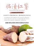 红薯海报