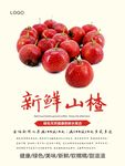 山楂海报