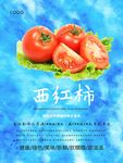 西红柿海报