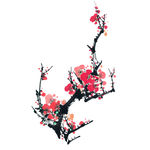 水墨梅花png素材