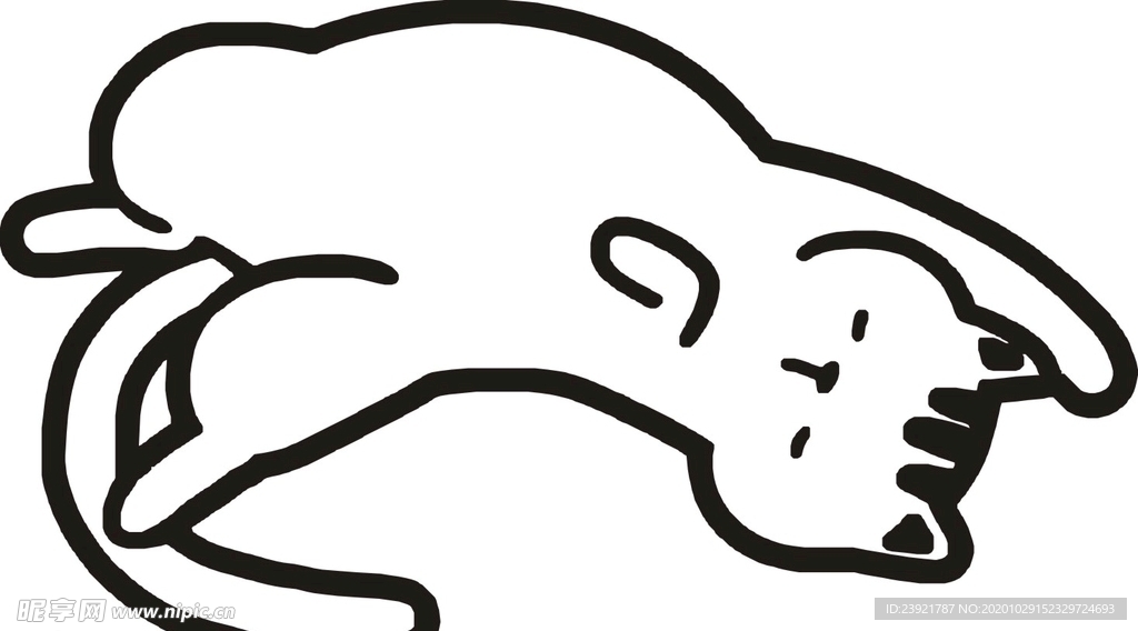 猫