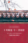 十一月你好