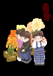 霜降