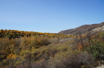 秋季山坡