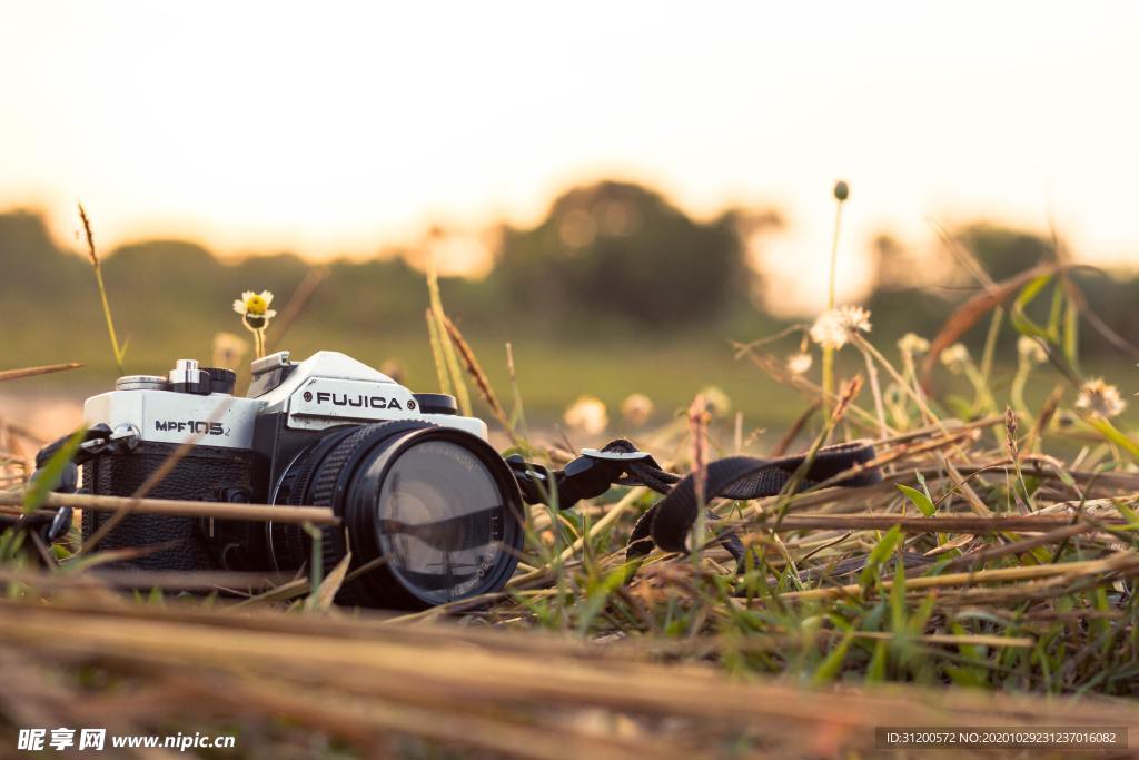 草地上的相机