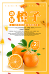 橙子海报