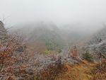 徽杭古道 风景