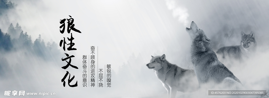 手机壁纸