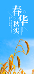 手机壁纸