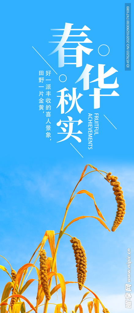 手机壁纸
