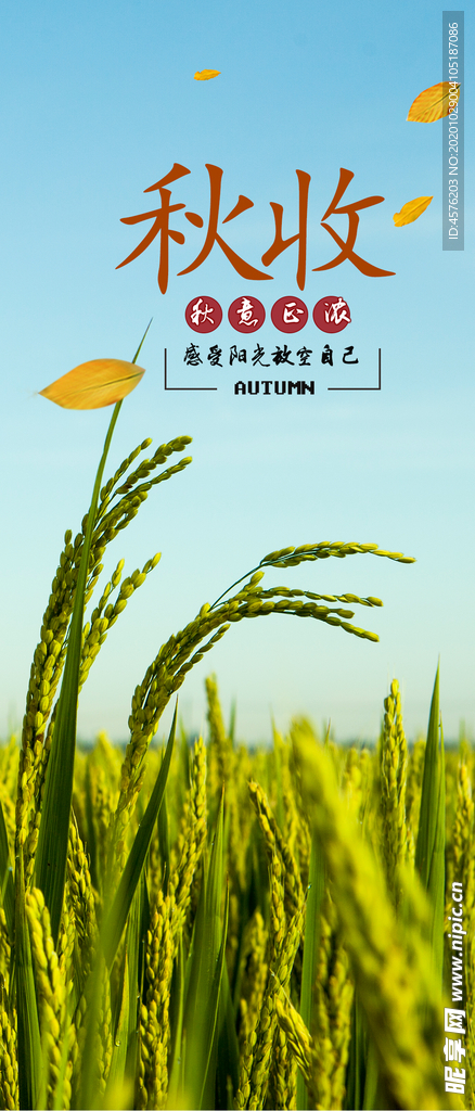 手机壁纸