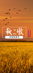 手机壁纸