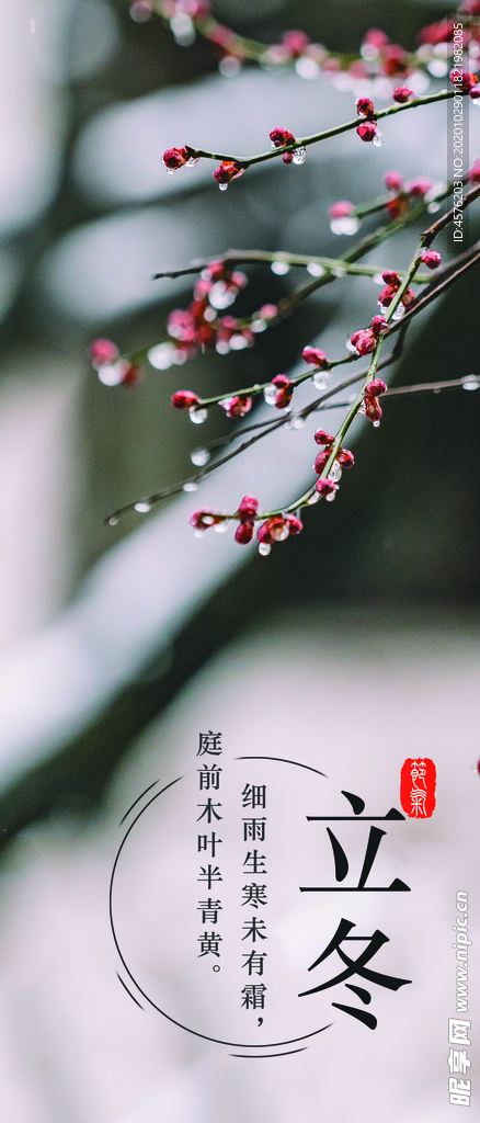 手机壁纸