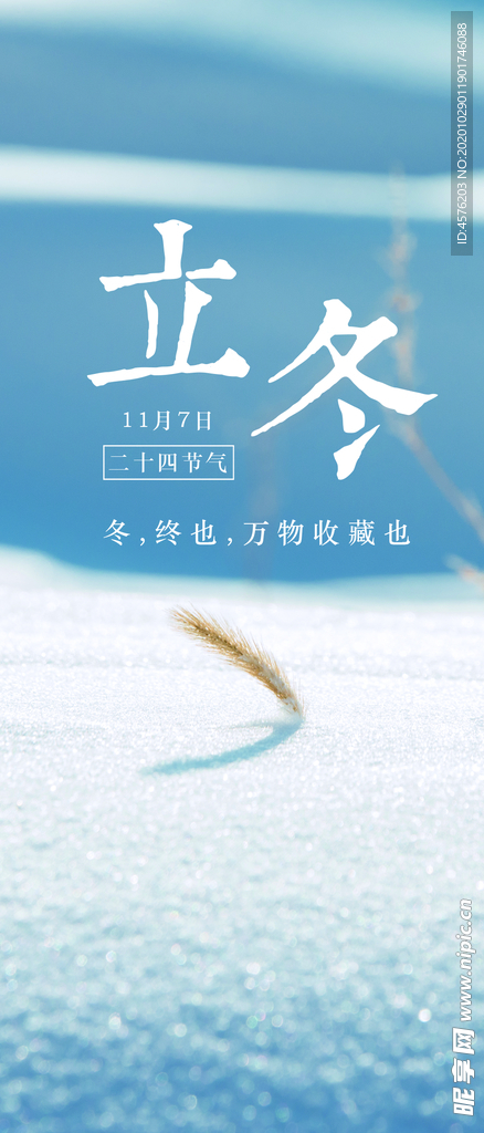 手机壁纸