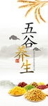 手机壁纸
