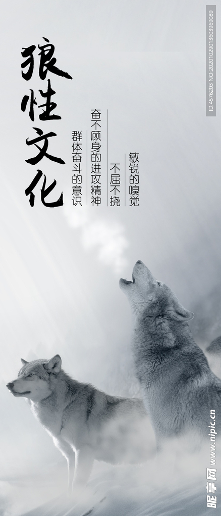手机壁纸