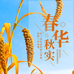 手机壁纸