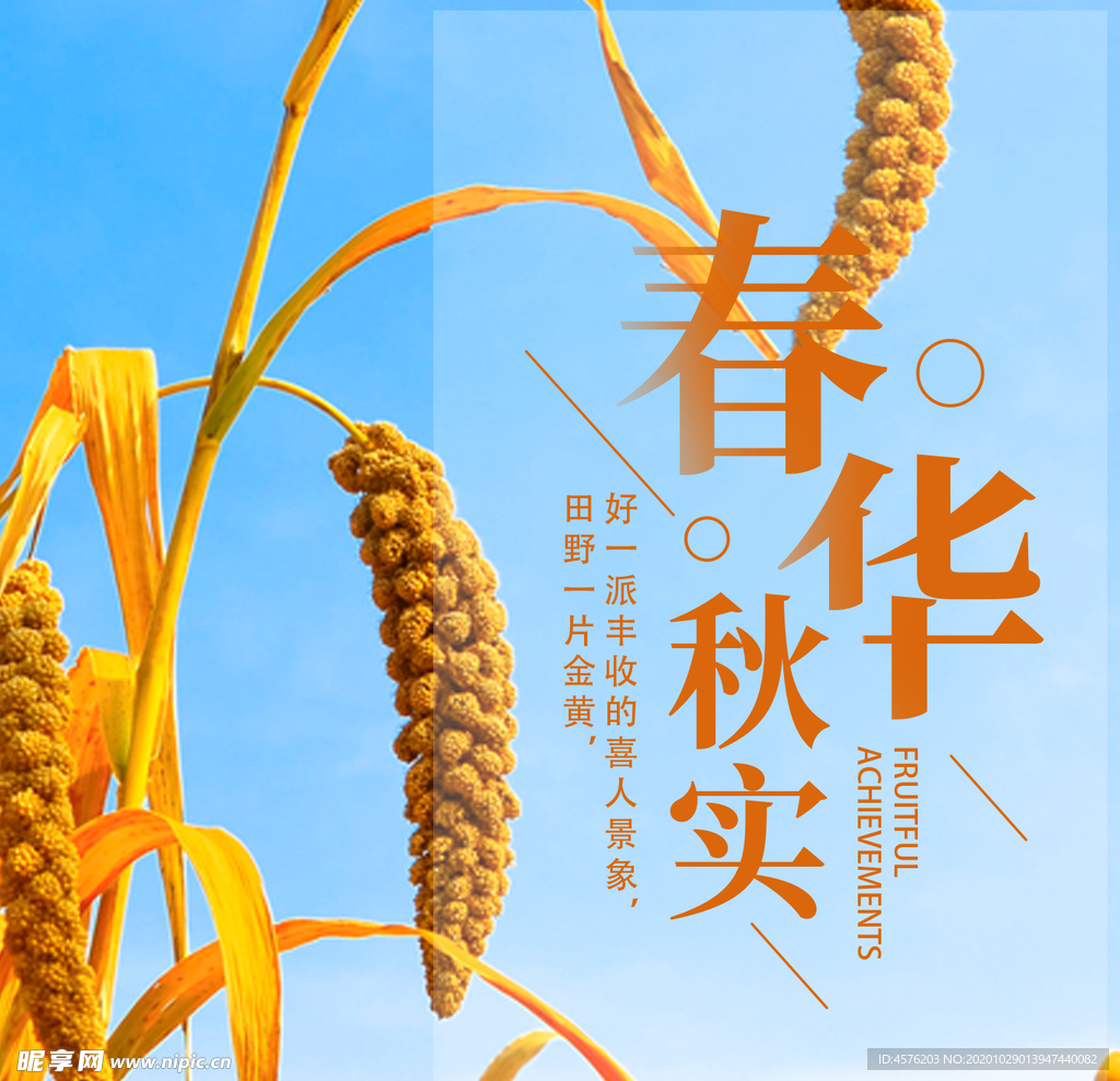 手机壁纸