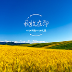 手机壁纸