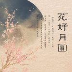 手机壁纸