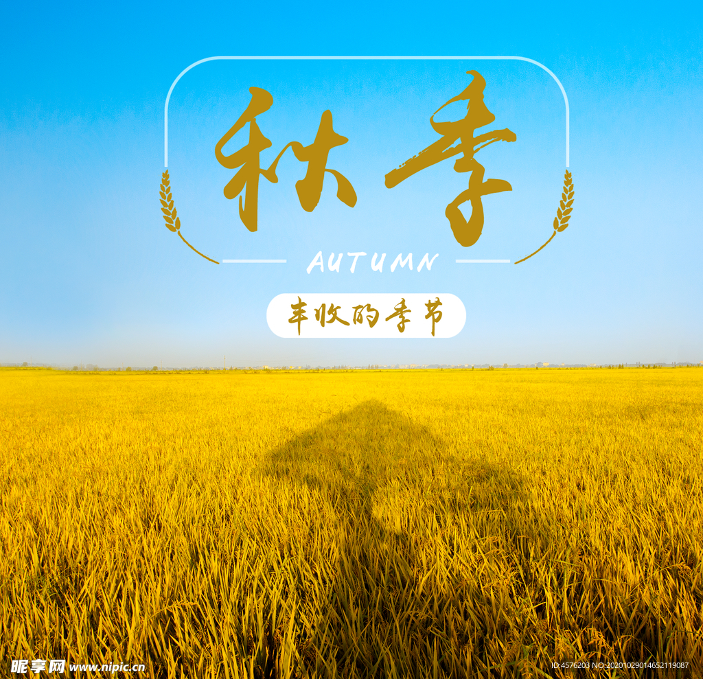 手机壁纸