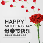 手机壁纸