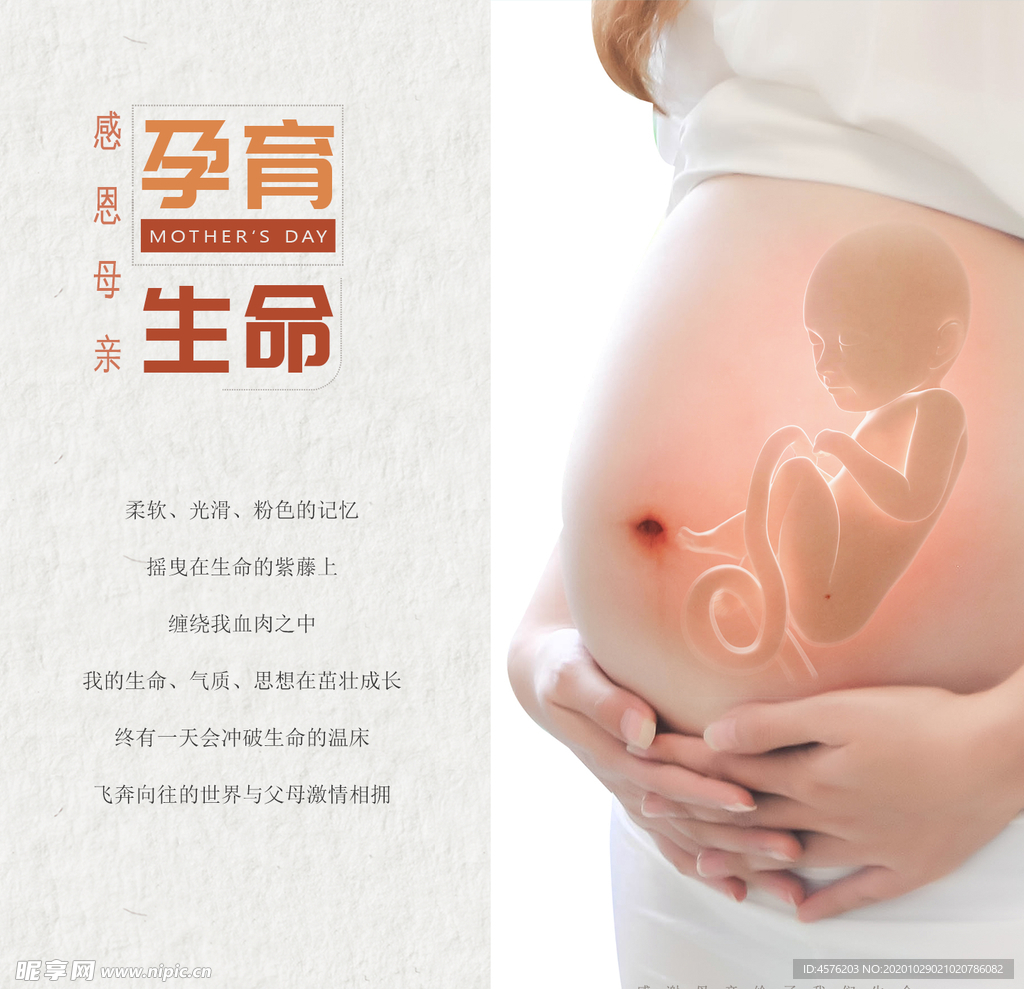 手机壁纸