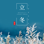 手机壁纸